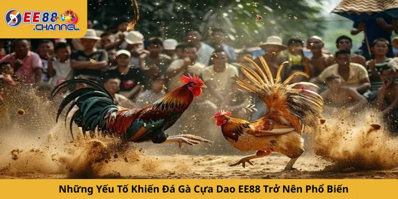 Những Yếu Tố Khiến Đá Gà Cựa Dao EE88 Trở Nên Phổ Biến