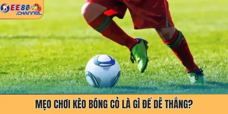 Mẹo chơi kèo bóng cỏ là gì để dễ thắng?